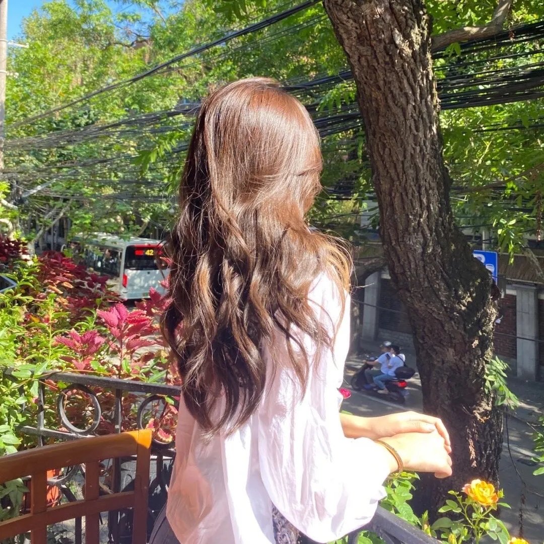 红盖掩我状元梦